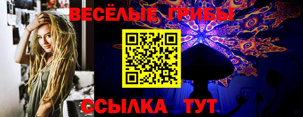 Галлюциногенные грибы Cubensis  Вход с VPN  как найти   Старая Купавна 